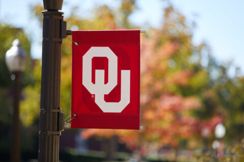 OU lamp post flag in autumn