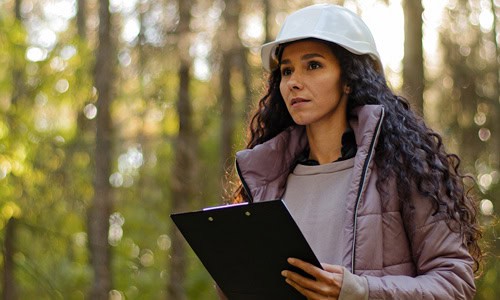 decorative image of sustainable management professional reviewing site