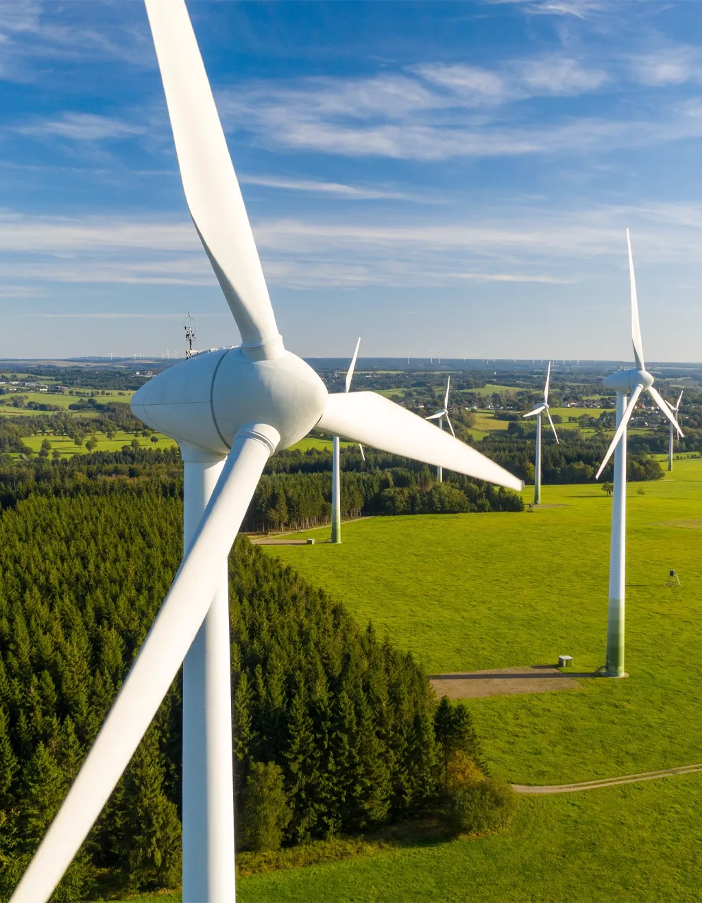 Program Outcomes: What You'll Learn